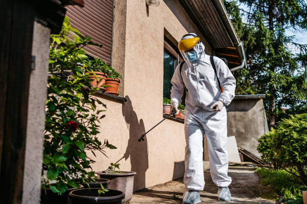 Best Local Pest Control Services  in Honolulu, HI